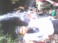 dhool