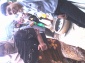 dhool